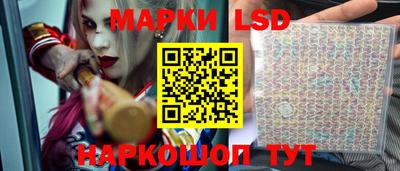 шишки Абакан